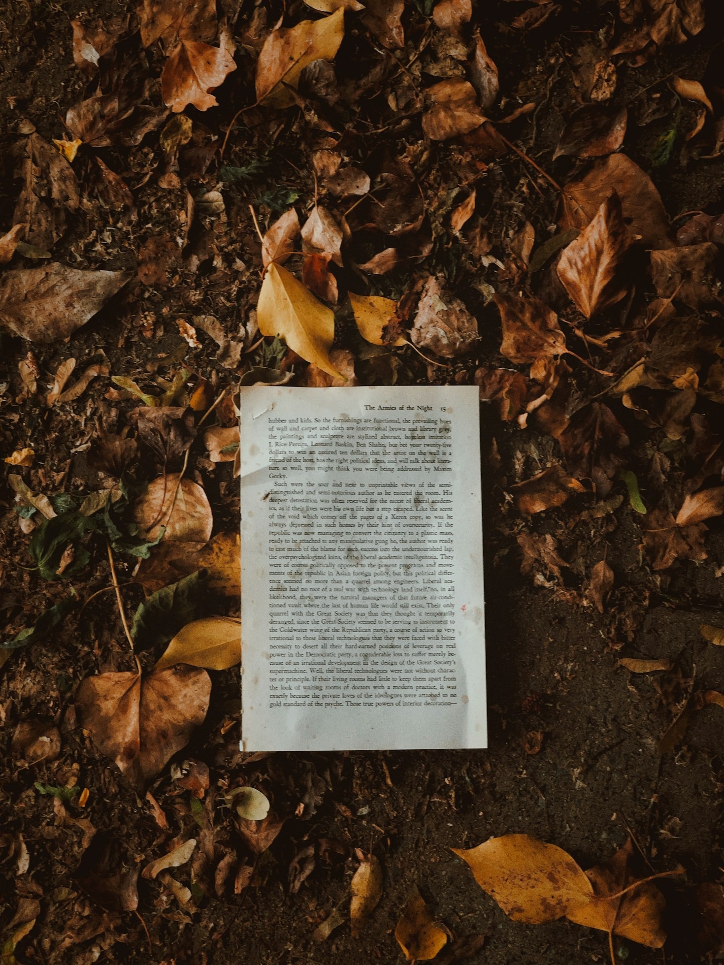 Ida und Ole’s mystischer Plot